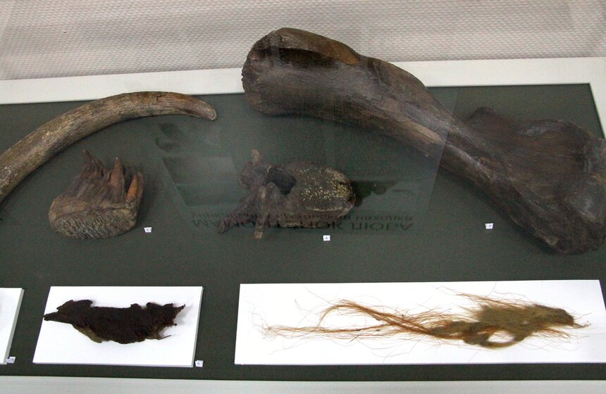 Выставка "Находки на краю земли" 6 фото