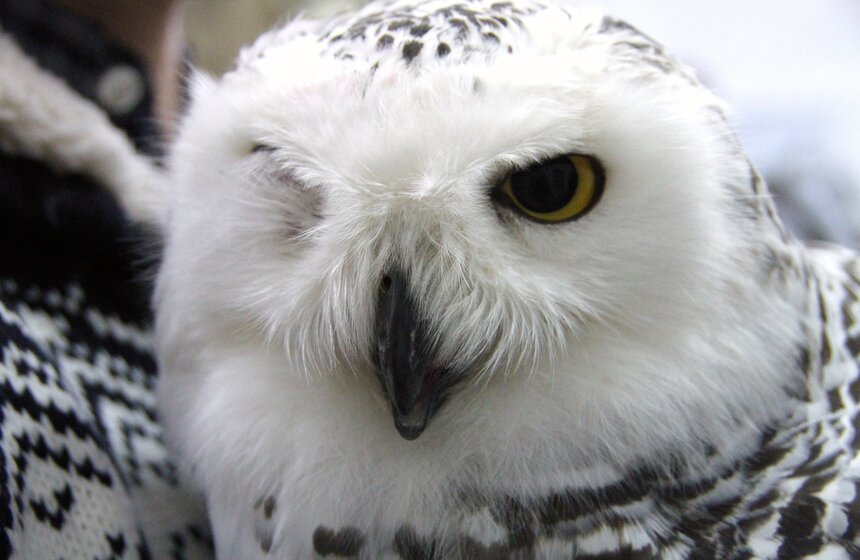 Выставка "Находки на краю земли" 15 фото