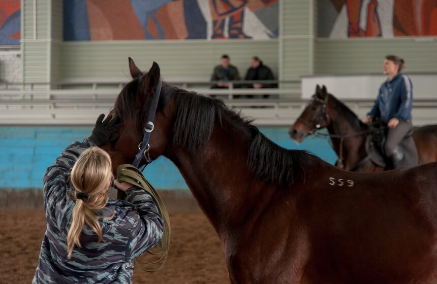 Один день из жизни конной полиции 24 фото