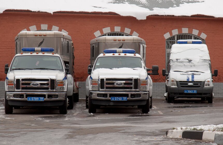 Один день из жизни конной полиции 3 фото