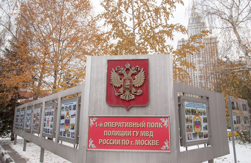 Один день из жизни конной полиции 1 фото