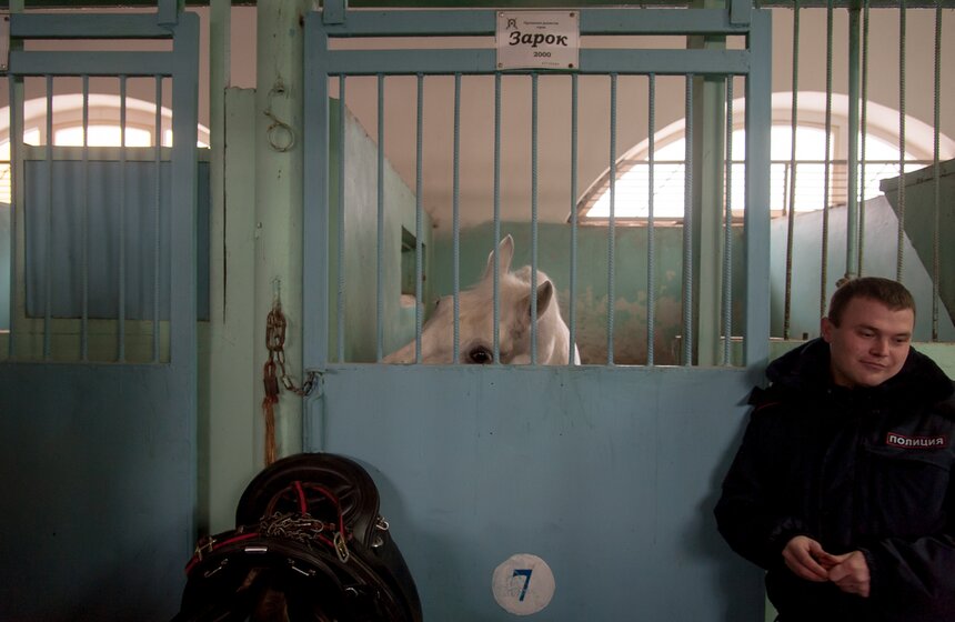 Один день из жизни конной полиции 31 фото