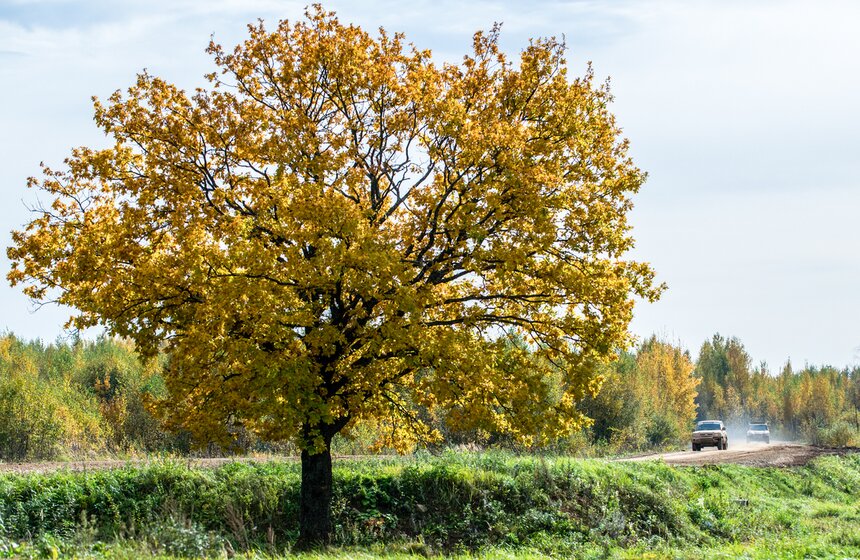 Финал Кубка России по ралли-рейдам в Алабино 22 фото