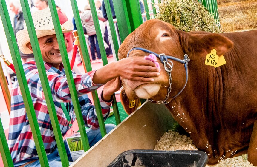 Агропромышленная выставка "Золотая осень" на ВДНХ 20 фото