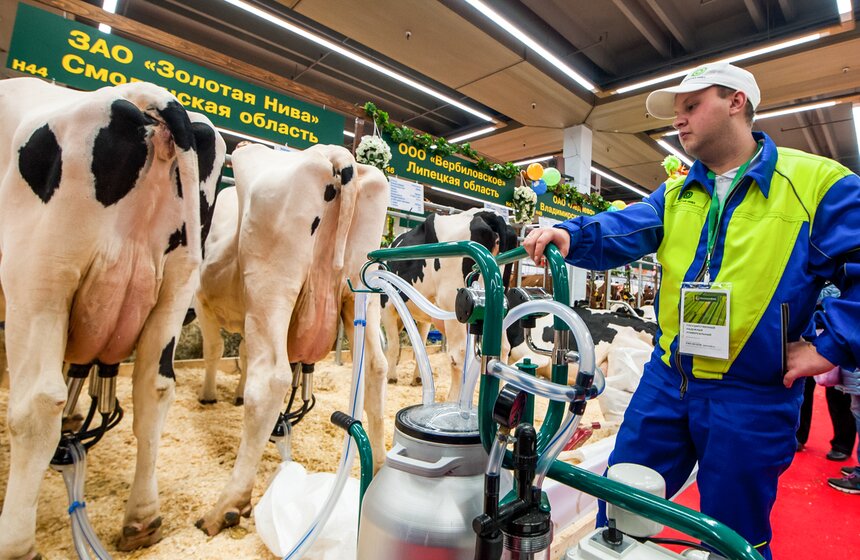 Агропромышленная выставка "Золотая осень" на ВДНХ 17 фото
