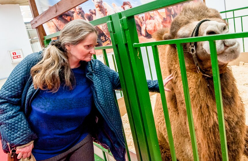 Агропромышленная выставка "Золотая осень" на ВДНХ 18 фото