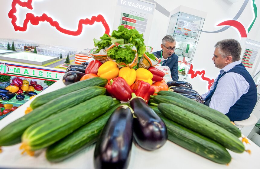 Агропромышленная выставка "Золотая осень" на ВДНХ 6 фото