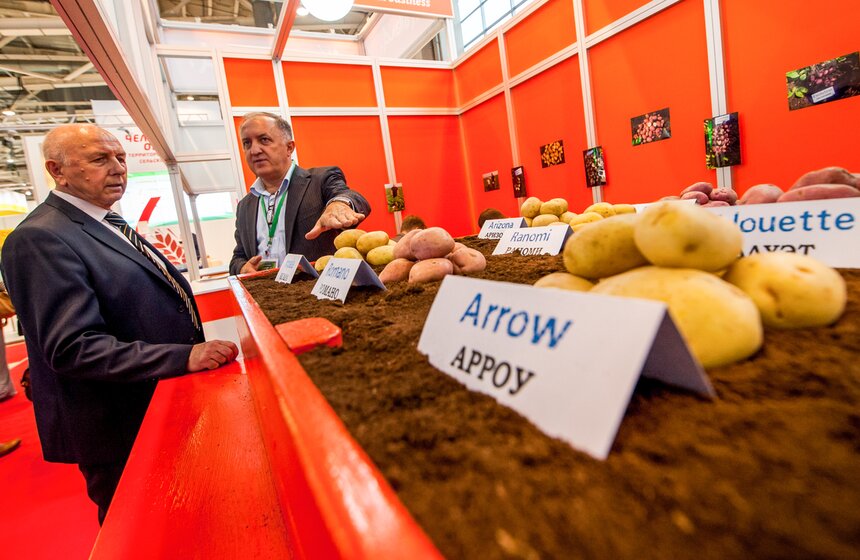 Агропромышленная выставка "Золотая осень" на ВДНХ 2 фото