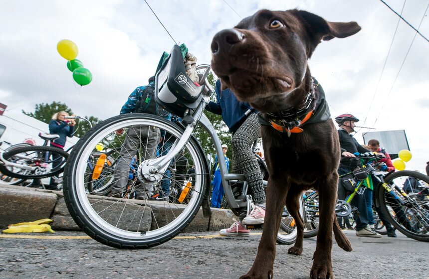 Московский велопарад собрал 15 тысяч участников 5 фото