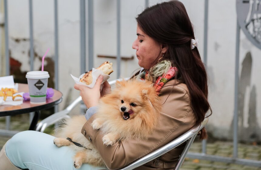 Фестиваль греческой культуры "Акрополис" в саду "Эрмитаж" 15 фото