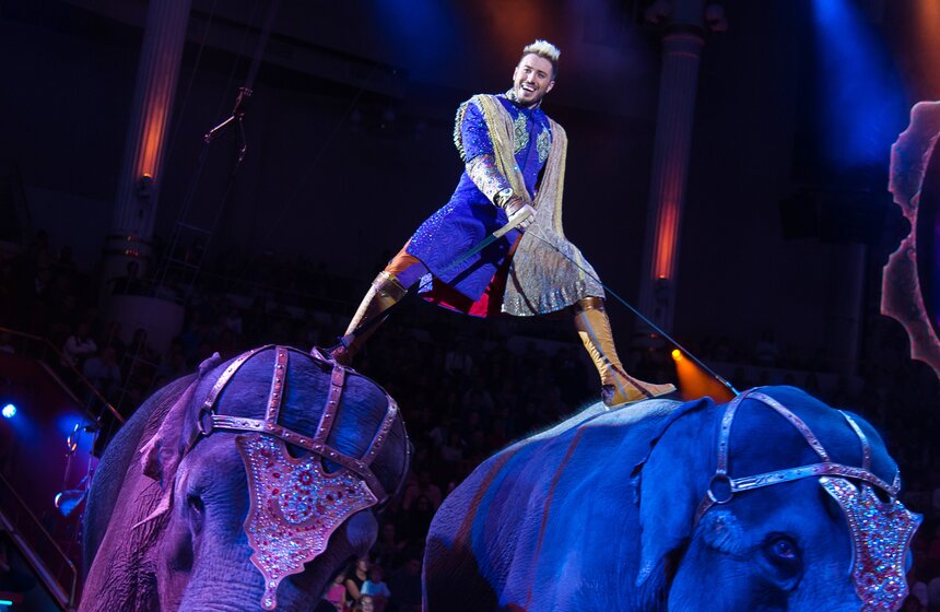 Выставка ко дню рождения Никулина открылась в цирке на Цветном 46 фото