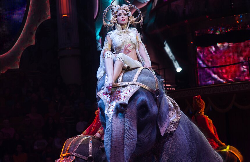 Выставка ко дню рождения Никулина открылась в цирке на Цветном 47 фото