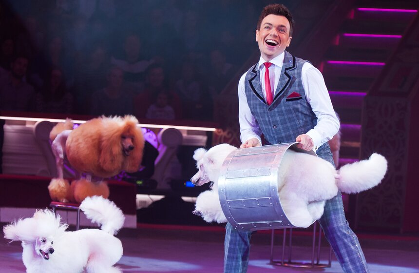 Выставка ко дню рождения Никулина открылась в цирке на Цветном 23 фото