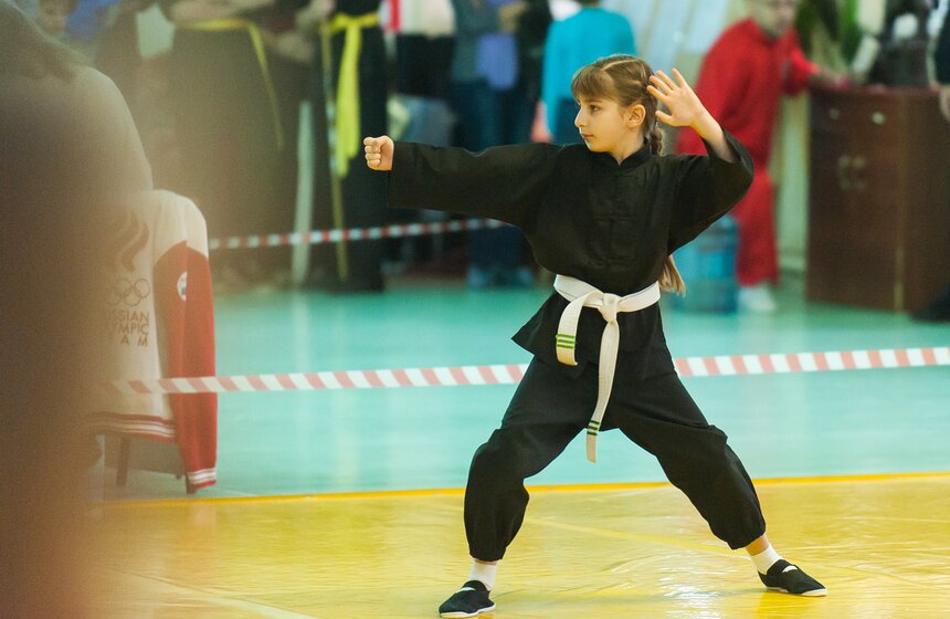 В Москве прошел открытый турнир по традиционному кунг-фу 3 фото