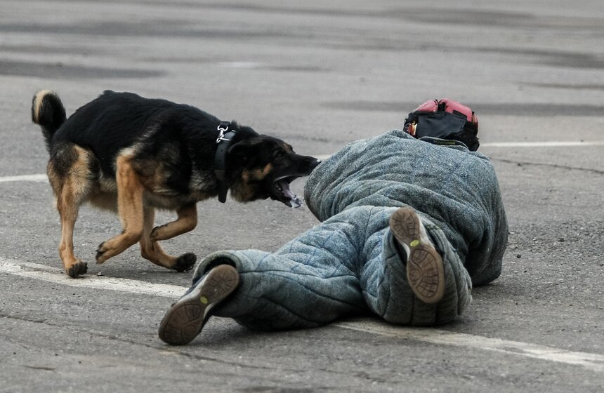 Вооружение и технику показали на выставке "Интерполитех-2016" 30 фото