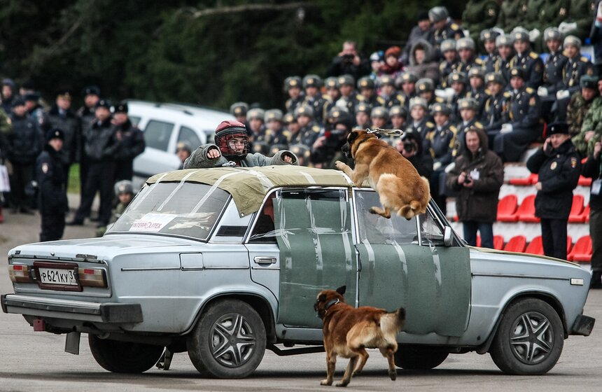 Вооружение и технику показали на выставке "Интерполитех-2016" 29 фото