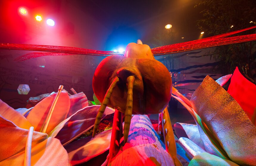 Выставка "Гигантские насекомые" в арт-пространстве "ЗооДепо" 7 фото