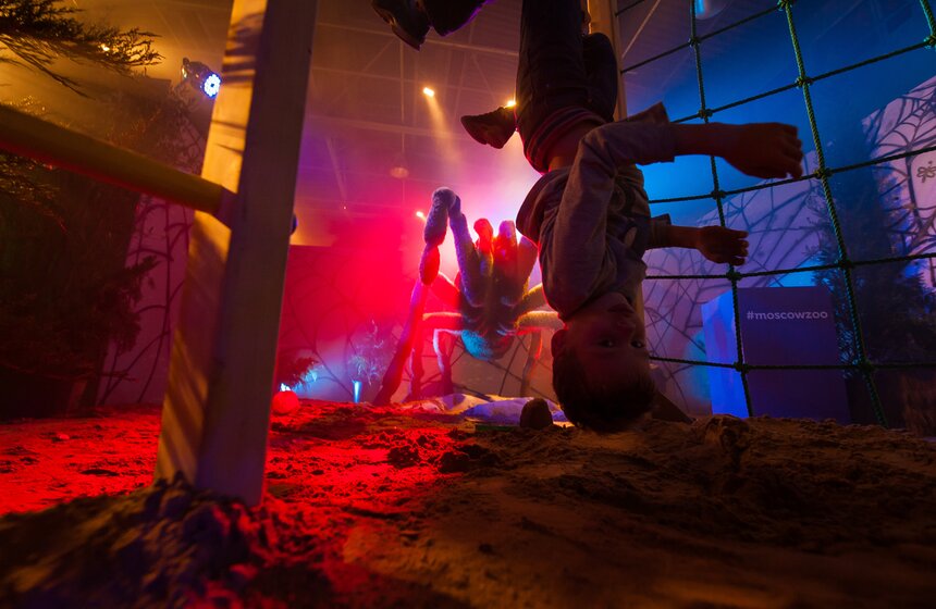 Выставка "Гигантские насекомые" в арт-пространстве "ЗооДепо" 12 фото