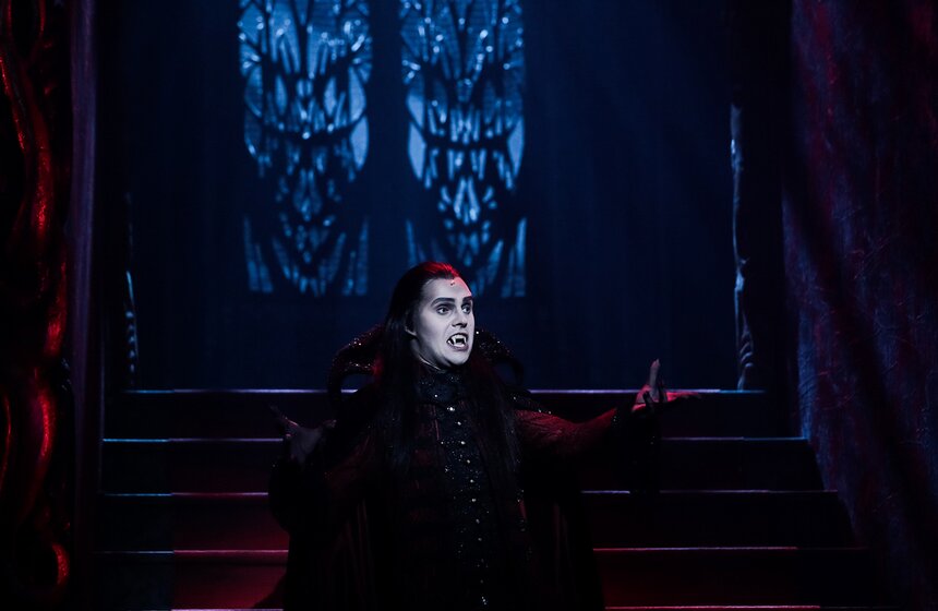 Открытая репетиция мюзикла "Бал вампиров" в МДМ 38 фото