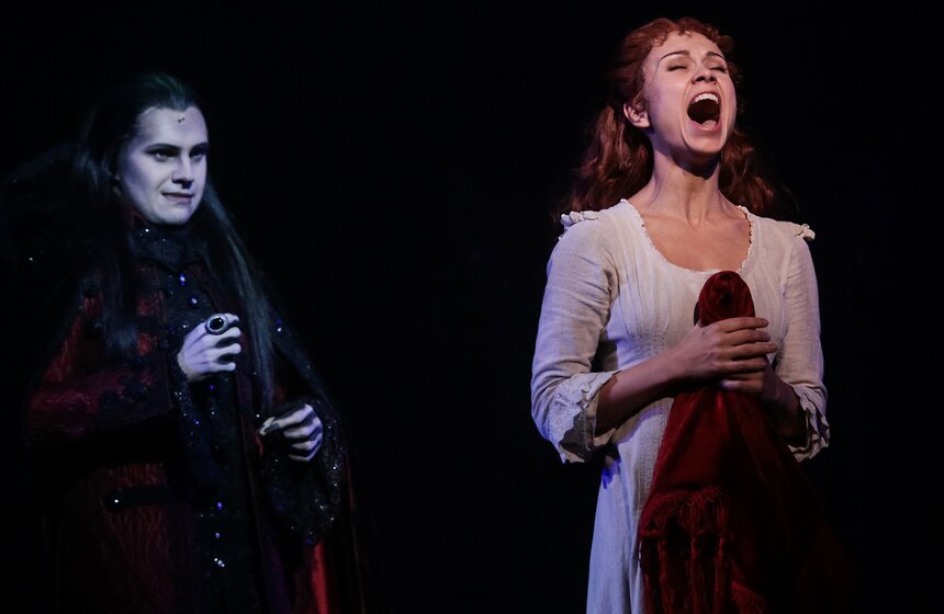 Открытая репетиция мюзикла "Бал вампиров" в МДМ 46 фото