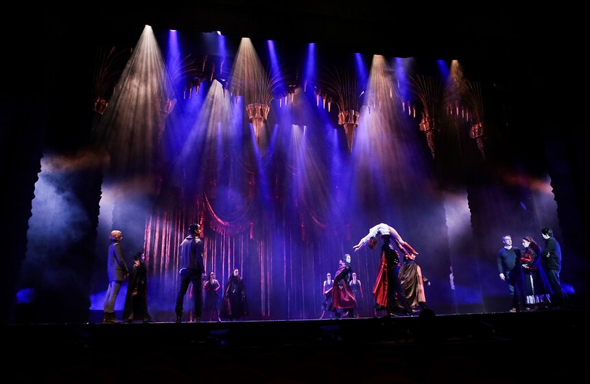 Открытая репетиция мюзикла "Бал вампиров" в МДМ 8 фото