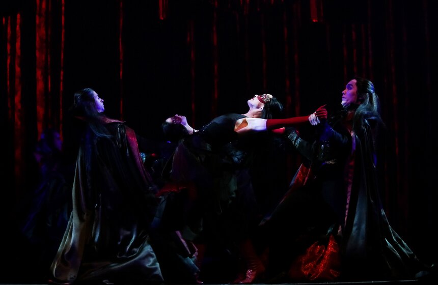 Открытая репетиция мюзикла "Бал вампиров" в МДМ 20 фото