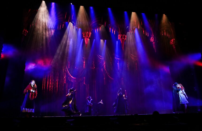 Открытая репетиция мюзикла "Бал вампиров" в МДМ 23 фото