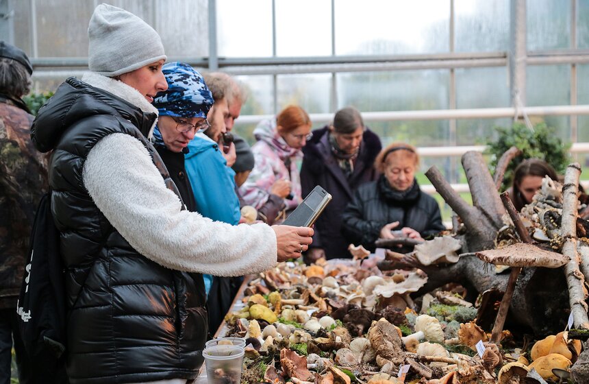 Грибной фестиваль в "Аптекарском огороде" 19 фото