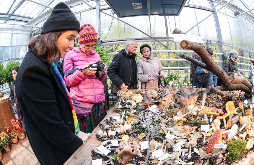 Грибной фестиваль в "Аптекарском огороде" 25 фото