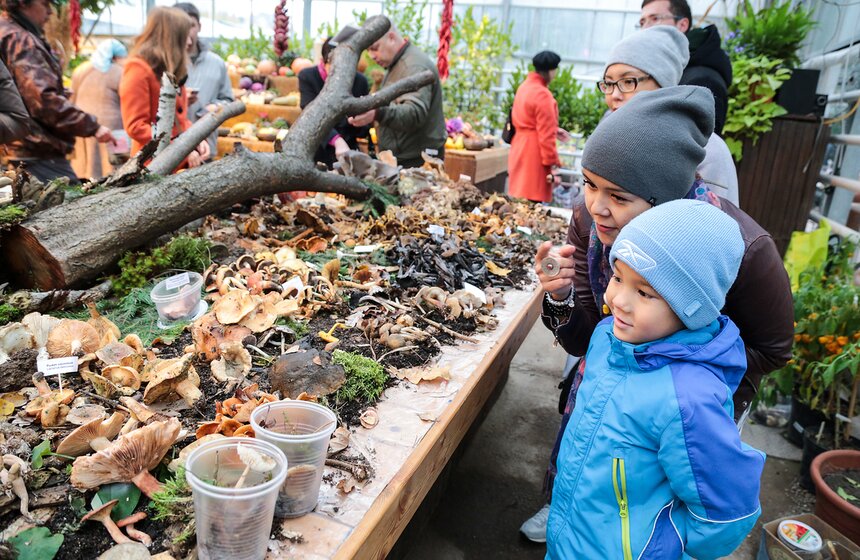 Грибной фестиваль в "Аптекарском огороде" 10 фото