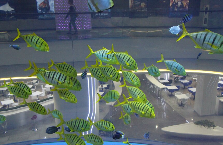 Мэр открыл торгово-развлекательный центр "Океания" 9 фото