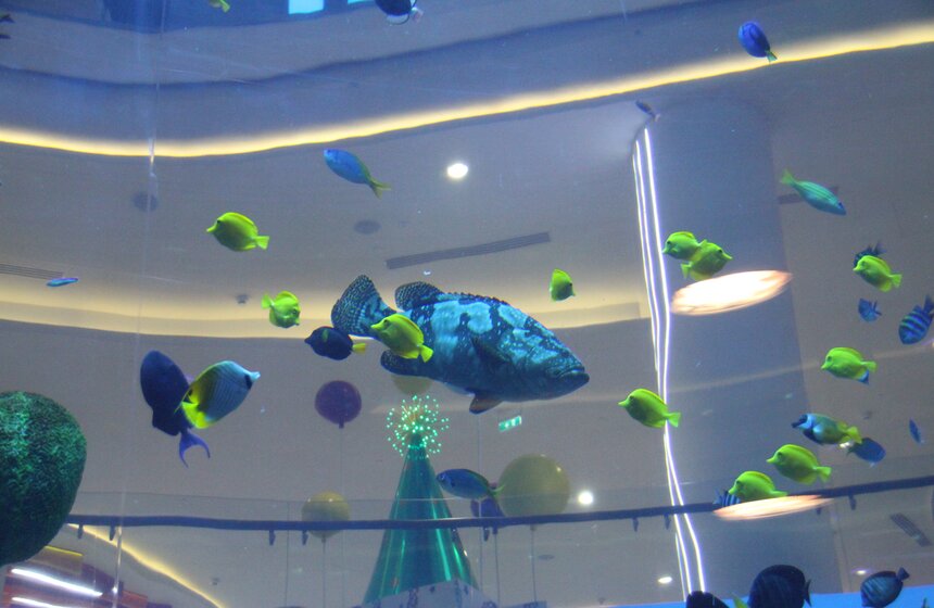 Мэр открыл торгово-развлекательный центр "Океания" 7 фото