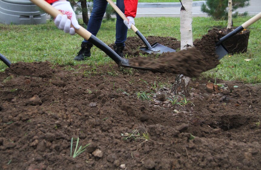 Новая городская аллея "Московские сезоны" 7 фото