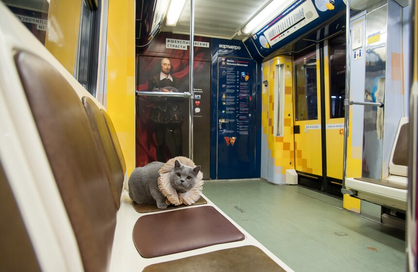 Британский кот прокатился в Шекспировском поезде 11 фото