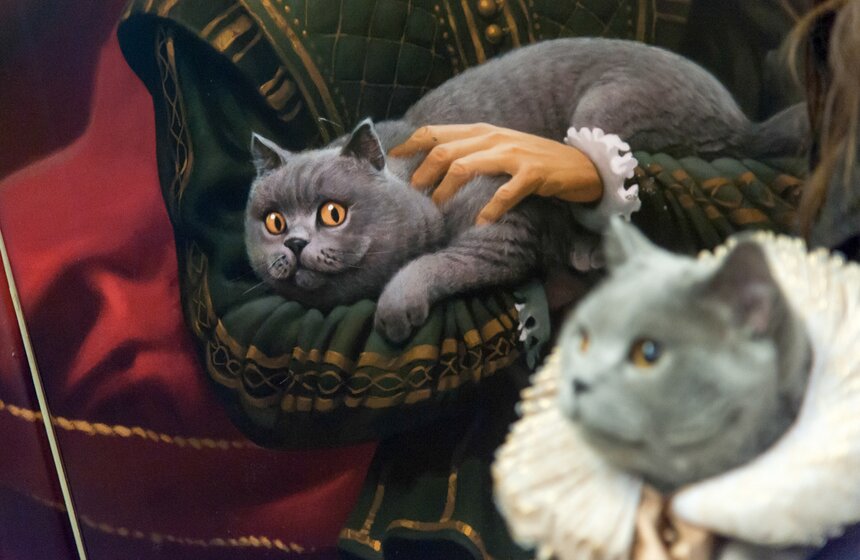 Британский кот прокатился в Шекспировском поезде 5 фото