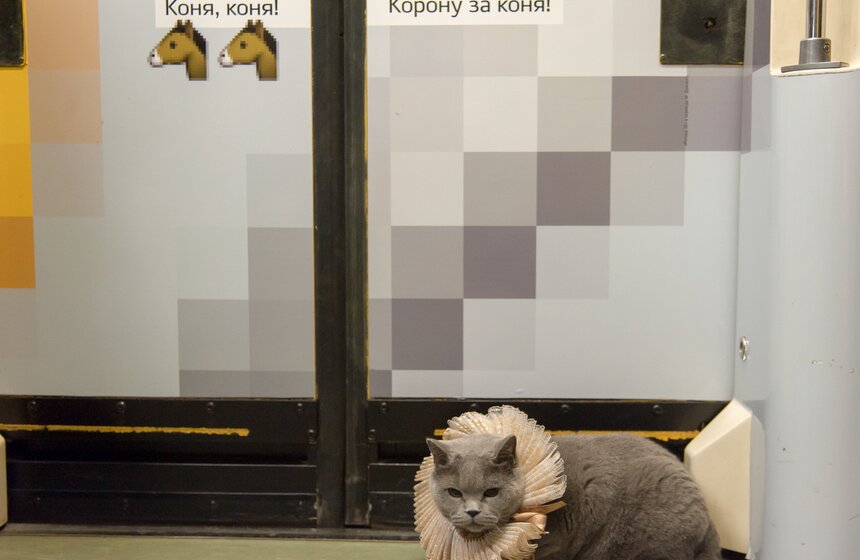 Британский кот прокатился в Шекспировском поезде 7 фото