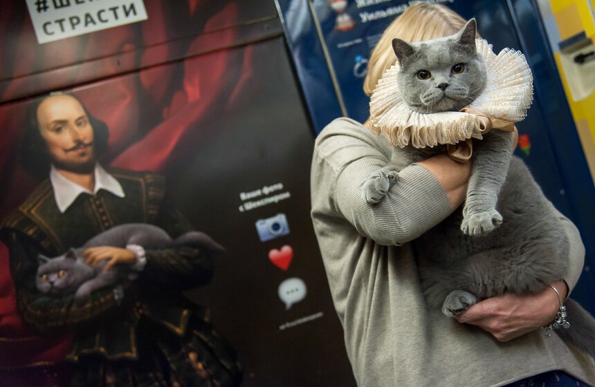 Британский кот прокатился в Шекспировском поезде 1 фото