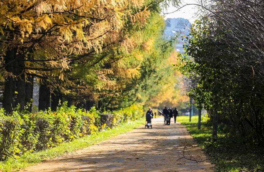 Осенняя прогулка по Парку 50-летия Октября 15 фото