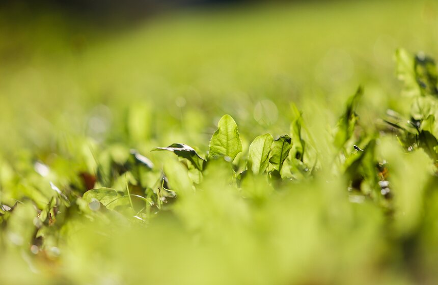 Осенняя прогулка по Парку 50-летия Октября 14 фото