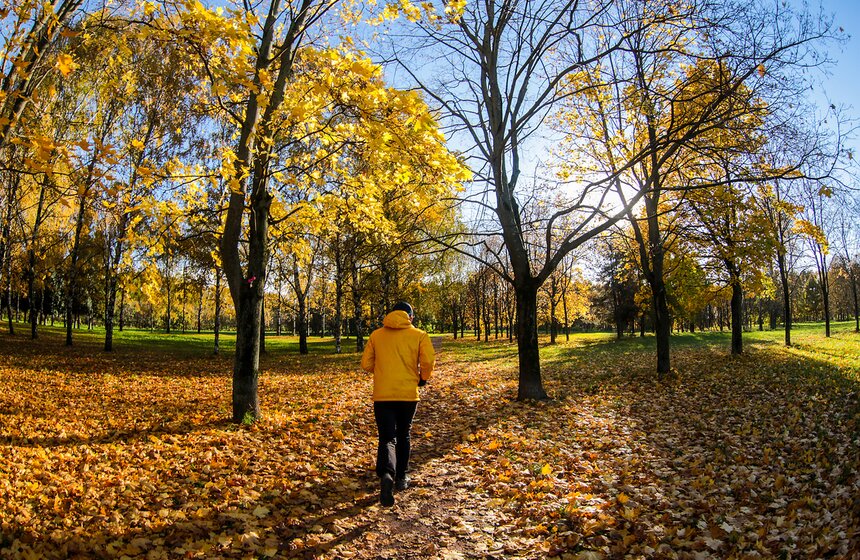 Осенняя прогулка по Парку 50-летия Октября 17 фото