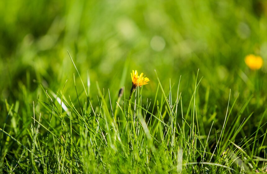 Осенняя прогулка по Парку 50-летия Октября 24 фото