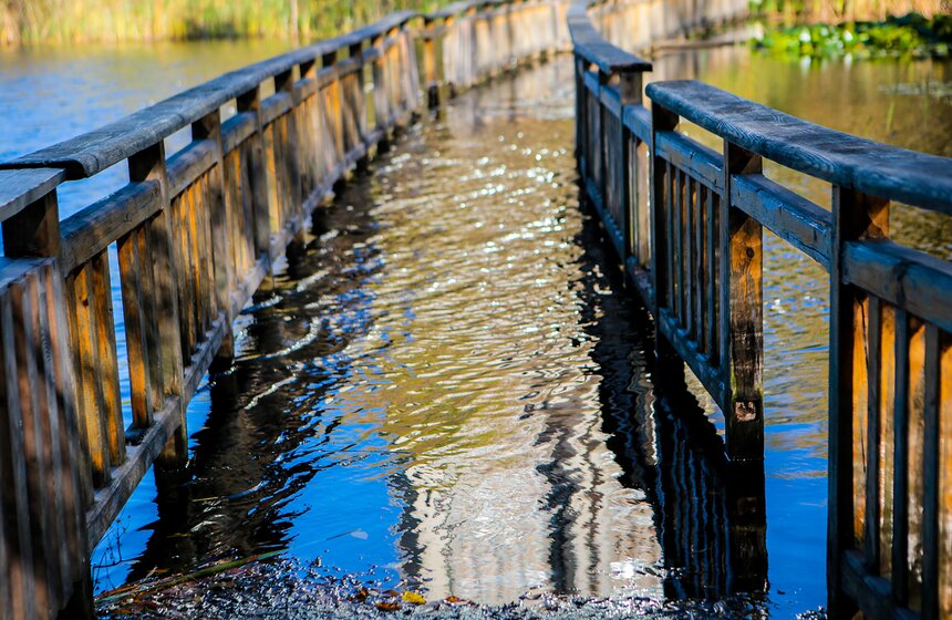 Осенняя прогулка по Парку 50-летия Октября 2 фото