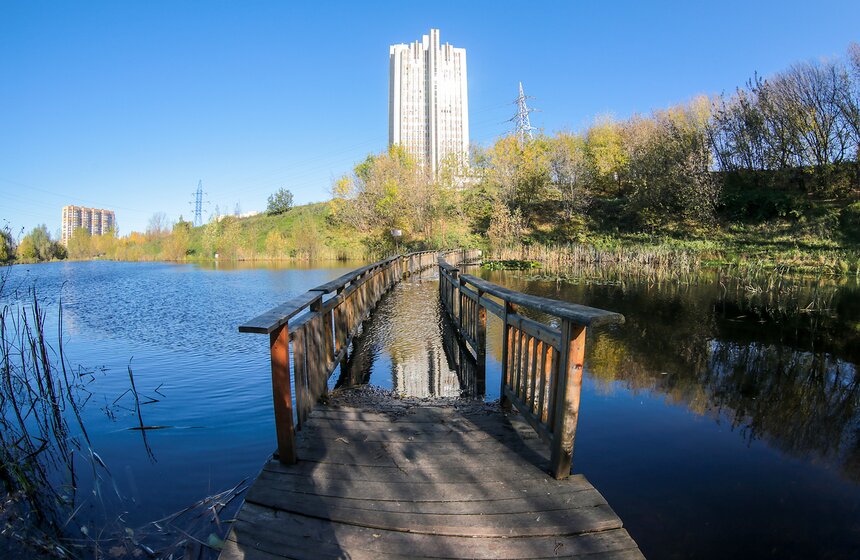 Осенняя прогулка по Парку 50-летия Октября 1 фото