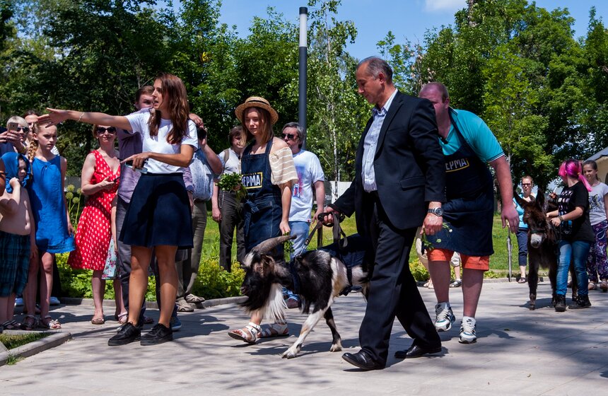 Козел Тимур открыл Аллею славы животных на ВДНХ 1 фото