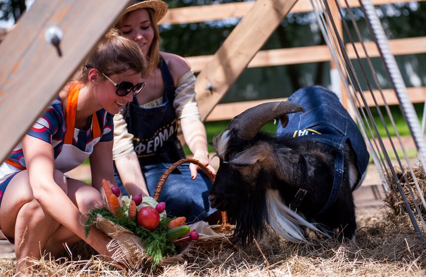 Козел Тимур открыл Аллею славы животных на ВДНХ 16 фото