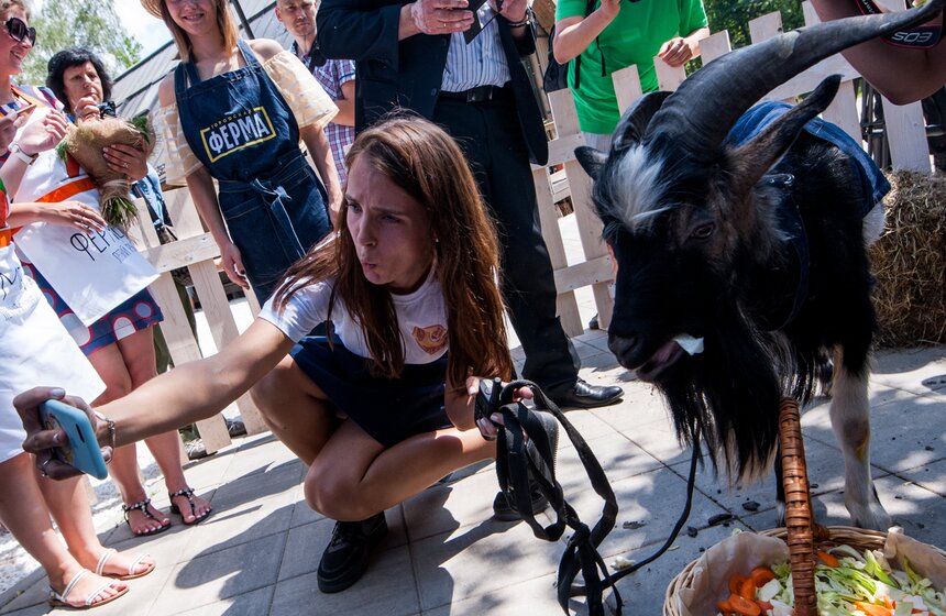 Козел Тимур открыл Аллею славы животных на ВДНХ 8 фото