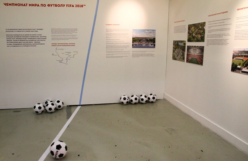 Выставка "Легендарные "Лужники" в Музее Москвы 3 фото