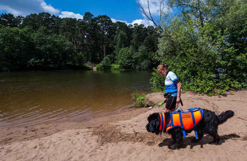 Как работают столичные собаки-спасатели 4 фото