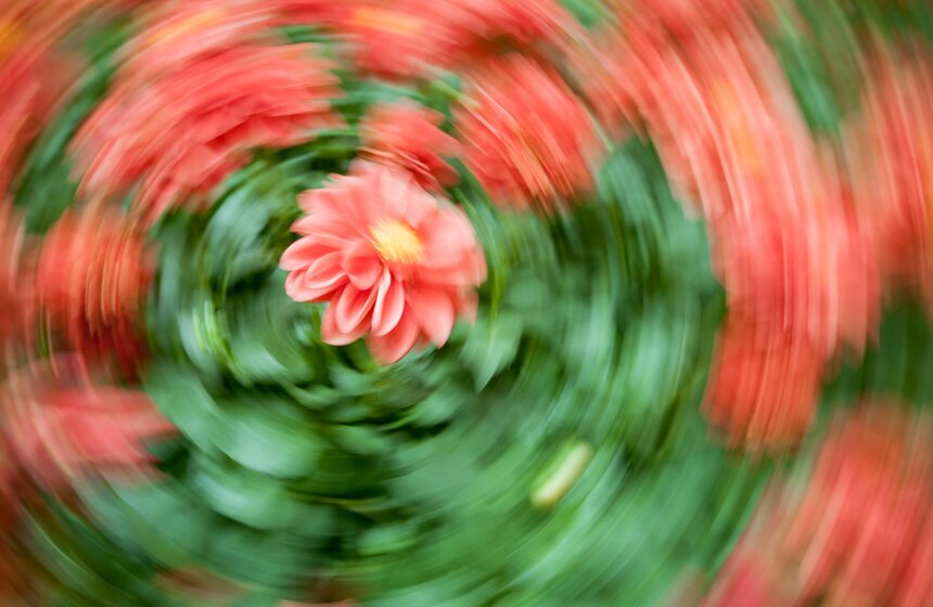 Фестиваль цветов в ГУМе 18 фото