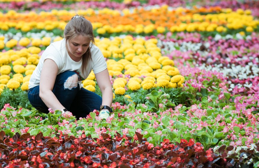 Фестиваль цветов в ГУМе 10 фото